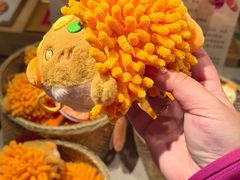 -猫的天空之城概念书店(苏州诚品店)