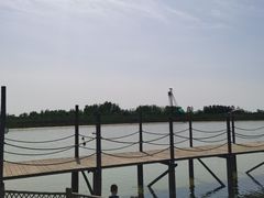 -池杉湖湿地公园