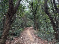 -虞山风景区