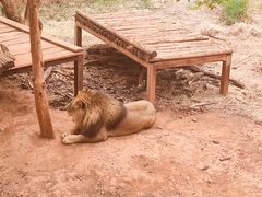 -昆明动物园