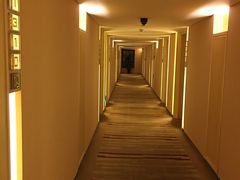 -电谷雅阁国际大酒店