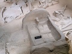 -洛阳周王城天子驾六博物馆