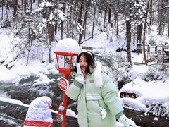 -峡谷浮石林景区