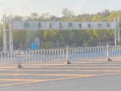 -秦皇岛野生动物园