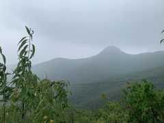 -阳台山自然风景区
