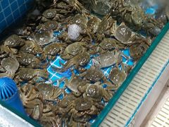水产区-蓝珊甄选海鲜自助·火锅大排档(近阿那亚店)