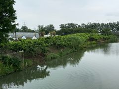 -乌村