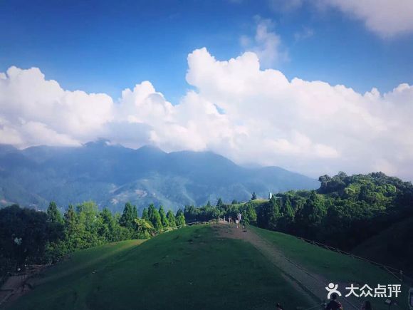清境农场之青青草原 - 波妞女王的相册 - 南投景点 - 大众点评网