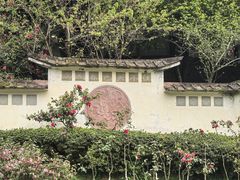 -南山植物园