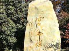 -灵谷景区
