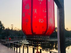 -东平国家森林公园