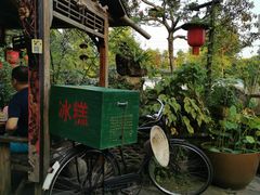 -青城甲(青城山店)