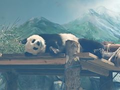 -武汉动物园