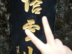 -塔云山