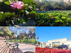 -哈尔滨师范大学(松北校区)