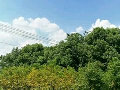 -青龙山国家森林公园