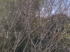 -桃花涧