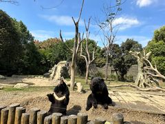 -常州淹城野生动物世界
