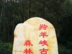 -羚羊峡古栈道森林公园