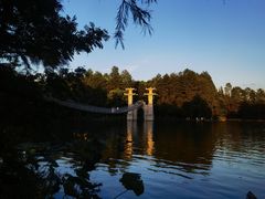 -东湖落雁景区