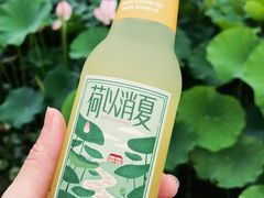 -嘉北郊野公园