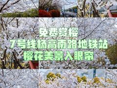 -杨高南路(地铁站)