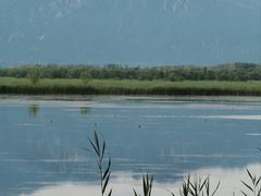 -野鸭湖国家湿地公园