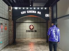 -CGV影城(滨江天街IMAX店)
