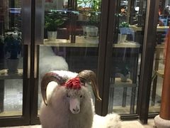 -羊肉街口老银川滩羊涮肉馆