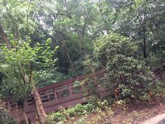 -幕燕滨江·长江观音景区
