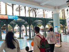 -海合安成都极地海洋公园