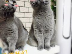 -北京赛佳动物医院