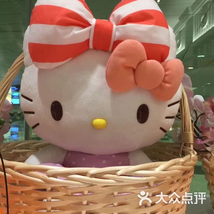 hello kitty orchid garden café