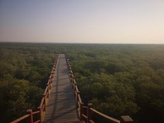 -北海金海湾红树林生态旅游区