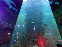 -青岛嘉年华主题乐园