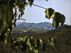 -磬锤峰森林公园