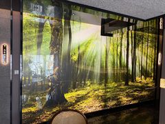 -亦辰亦美·泡澡 SPA 足浴 按摩公馆(牛王庙店)