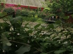 -野象谷景区