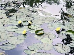 -杭州植物园