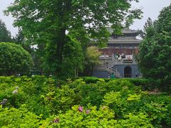 -洛阳白马寺