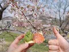 -上海辰山植物园