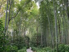 -南京东郊国宾馆