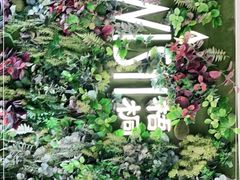-梧桐