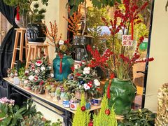 -溪岸路花鸟市场