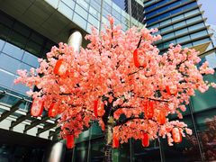 -食悦天美食广场(沈阳青年大街万象城店)
