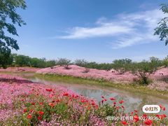 -花开海上生态园
