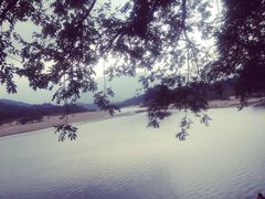 -楠溪江风景名胜区