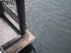 -荔湾湖公园