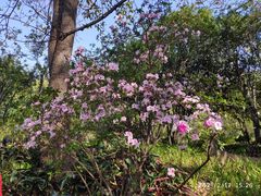 -晓港公园