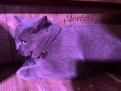 -青木造型HAIR·あおき髪を刈る潮人店